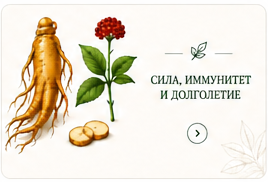 Женьшень