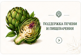 Артишок